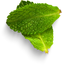 Isolated Cutout PNG